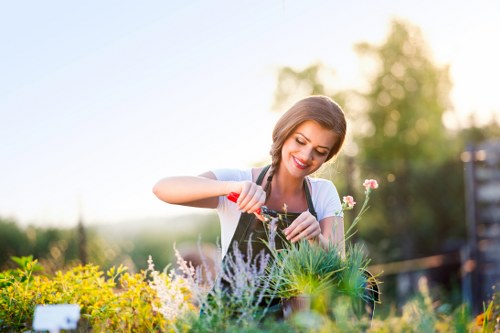 Professional garden clearance team working in Neasden