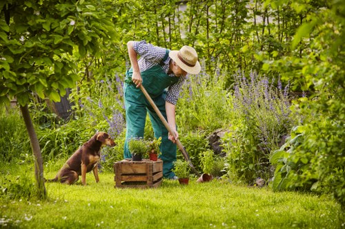 A person wearing a wide-brimmed straw hat, a blue patterned shirt, and teal overalls is gardening in a lush backyard, using a small trowel to plant or tend to plants within a wooden crate filled with soil. The garden features a well-maintained, bright green lawn at the foreground, bordered by various mature shrubs and flowering plants with purple blooms. In the background, dense foliage of trees and tall flowering plants create a natural, shaded environment. A brown dog sits attentively nearby, facing the gardener. The scene appears to be on a clear, sunny day, with soft natural light illuminating the vibrant greenery and colourful flowers, reflecting typical outdoor landscape and gardening activities that a local gardening service such as landscapersneasden.co.uk might undertake in the Neasden area or London postcode region.