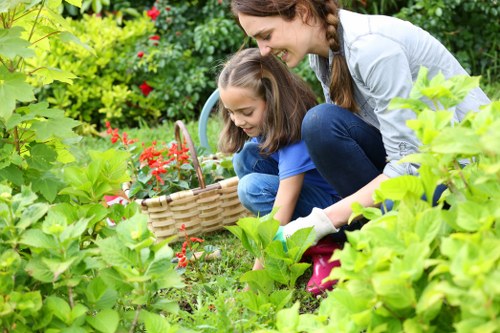 Garden clearance process overview in Neasden