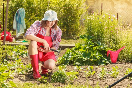Professionally designed garden beds in Neasden's climate