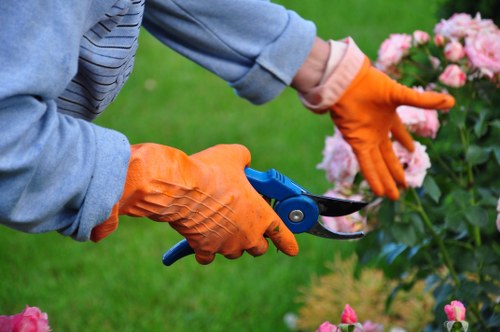The image shows a person dressed in a grey hoodie and orange gardening gloves using a pair of blue-handled pruning shears to trim a flowering shrub with pink blooms. The shrub is situated in a well-maintained garden with a lush green lawn and a variety of other plants and flowers visible in the background. The garden features a neatly edged flower bed with a mix of flowering plants and ornamental foliage, demonstrating attentive outdoor maintenance typical of gardening services in the Neasden area. The weather appears sunny with natural daylight illuminating the scene, emphasizing the vibrant colours of the flowers and greenery. This type of gardening activity, such as shrub trimming, is commonly undertaken by professional landscapers like Landscapers Neasden to enhance garden aesthetics and health, aligning with their expertise in lawn and garden maintenance services in the local area.