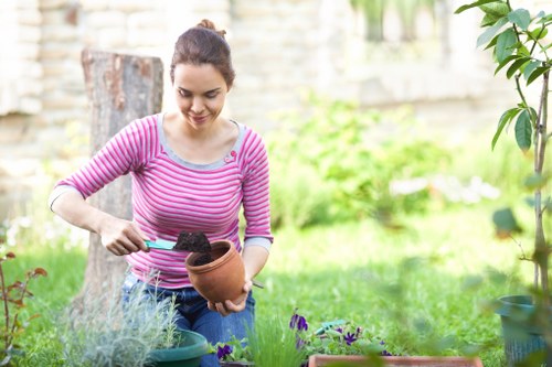 Accessibility request section for Neasden landscaping visitors
