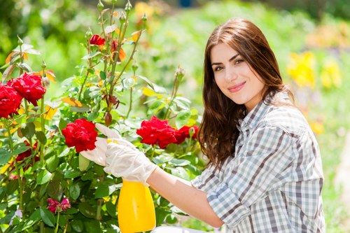 A young woman with long brown hair and a gentle smile is tending to a vibrant red rose bush in a lush garden. She is wearing a light blue and white checked shirt and white gardening gloves, and is holding a yellow spray bottle in one hand while carefully pruning the roses with the other. The garden features a well-maintained lawn with dense green grass in the foreground, complemented by various flowering plants and shrubs in the background. Behind her, there are hints of a neatly trimmed hedge and some taller trees providing natural shade, with sunlight filtering through the leaves, indicating a bright, sunny day. The scene captures an outdoor garden space typical of North West London, reflecting conscientious gardening practices and landscaping care. This image visually emphasizes the importance of garden maintenance and flower bed creation, aligning with services offered by Landscapers Neasden in the local area. The overall environment exudes a fresh, well-kept appearance, suitable for website content about lawn and flower bed care in the Neasden district.