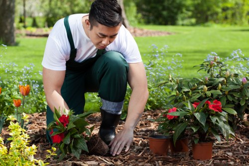 A young man with dark hair, dressed in a white t-shirt and green overalls, is kneeling on a mulch bed in a well-maintained garden, planting young red-flowered plants in small brown pots. The garden features lush green grass in the background, alongside a variety of plants including bushes with red blooms and smaller flowering plants. Beyond the garden bed, there is a neatly trimmed hedge and a line of tall trees that provide shade and natural privacy. The scene is set outdoors on a bright, possibly sunny day, with natural daylight illuminating the vibrant green foliage and colourful flowers. This setting showcases typical elements of a landscaped outdoor space, with a focus on garden planting and maintenance, aligning with gardening services offered by Landscapers Neasden in the local area near NW4 postcode, in the context of enhancing outdoor environments.
