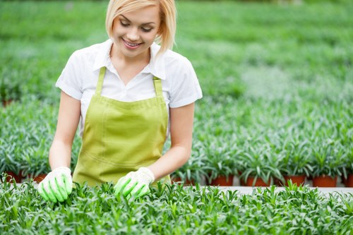 Reviewing a landscaping complaint and service records