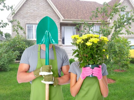 Healthy green lawn maintained by experts