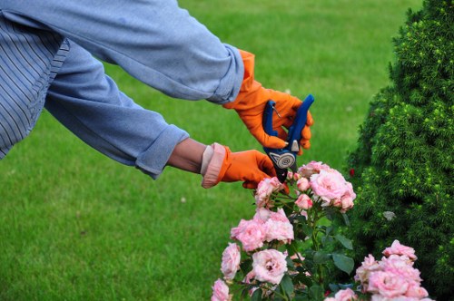 Custom landscape design service in Neasden
