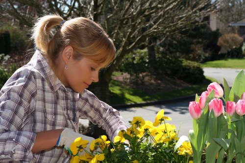 Professional Neasden landscapers working on garden transformation