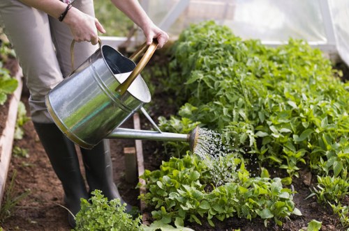 Seasonal lawn care tips for Neasden residents