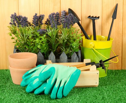 Free quote process for a Neasden garden waste collection