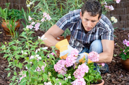 Inclusive landscaping content review with accessible design focus