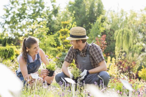 Comprehensive landscaping services including lawn care and hardscaping in Neasden
