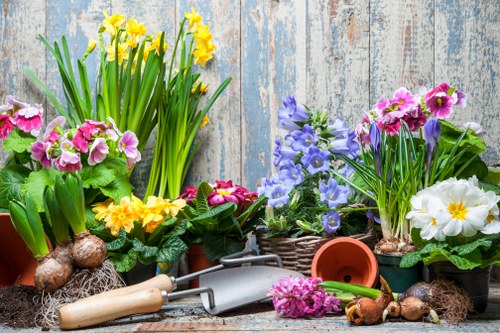The image shows a variety of flowering plants and garden elements arranged outdoors, with a weathered wooden backdrop. In the foreground, there are several pots containing vibrant flower species such as yellow daffodils, pink primroses, purple pansies, and white primroses, all with lush green foliage. The pots are placed on the ground, among garden tools including a trowel, a small watering can, and a gardening fork, which are partially surrounded by bulbs and soil. To the right, a woven basket holds additional plants, and some small flower bulbs and gardening soil are scattered around the scene. The garden space appears neat and cultivated, featuring a mix of flowering plants and greenery, suited to enhancing outdoor landscaping in Neasden or nearby areas. The weather appears mild and suitable for gardening activities, with natural lighting highlighting the vivid colours and textures of the plants and garden tools, reflecting typical gardening practices in the London borough. This setting exemplifies a well-maintained outdoor space ideal for gardening and landscape improvements, aligning with services provided by companies like Landscapers Neasden.